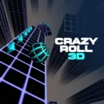 Crazy Roll 3D
