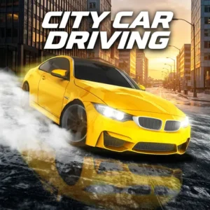 City Car Driving